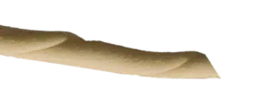 Bones